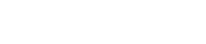 Beetle ผ้าใบด้วงดำ